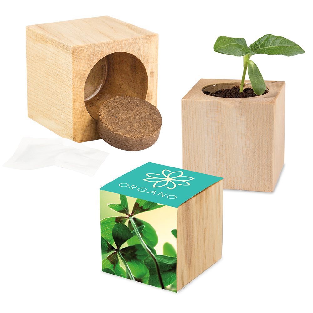 Pflanz-Holz Maxi mit Samen, Glücksklee-Zwiebel, 1 Seite gelasert (* Je nach Verfügbarkeit der Glücksklee-Zwiebeln)