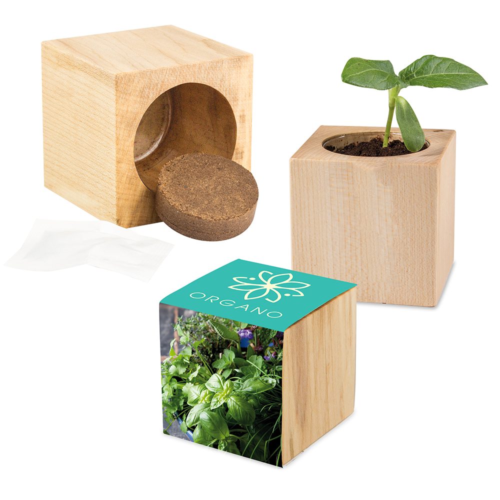 Pflanz-Holz Maxi mit Samen, Kräutermischung, 1 Seite gelasert