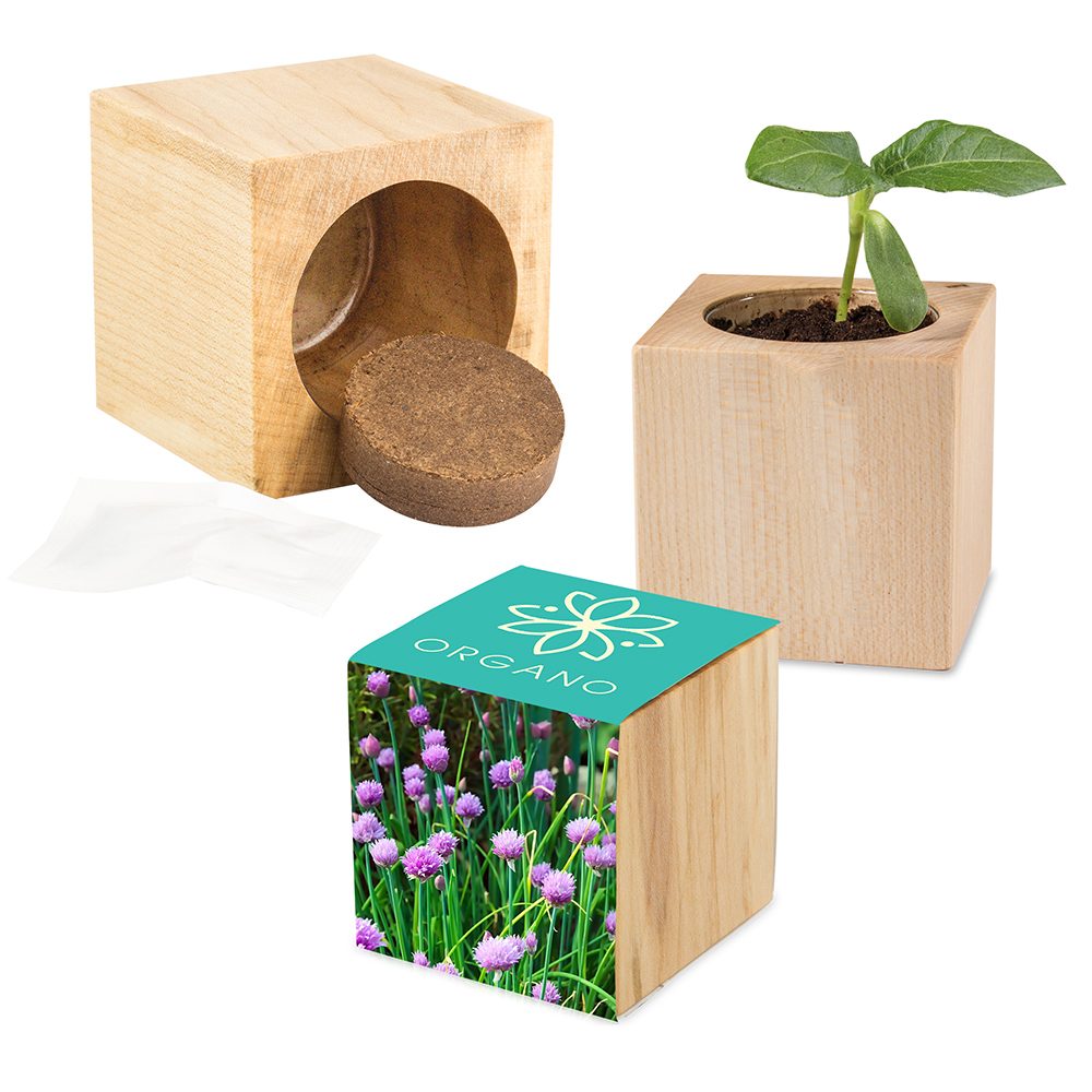 Pflanz-Holz Maxi mit Samen, Schnittlauch, 1 Seite gelasert