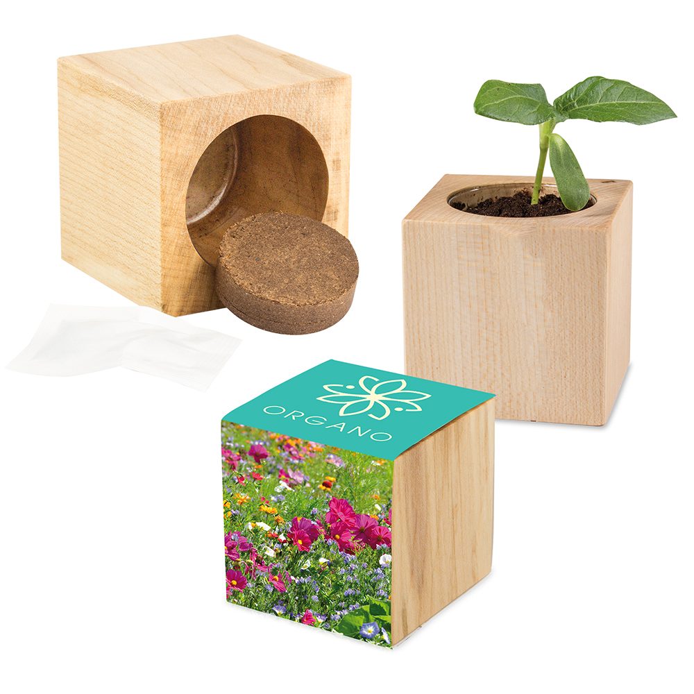 Pflanz-Holz Maxi mit Samen, Sommerblumenmischung, 2 Seiten gelasert