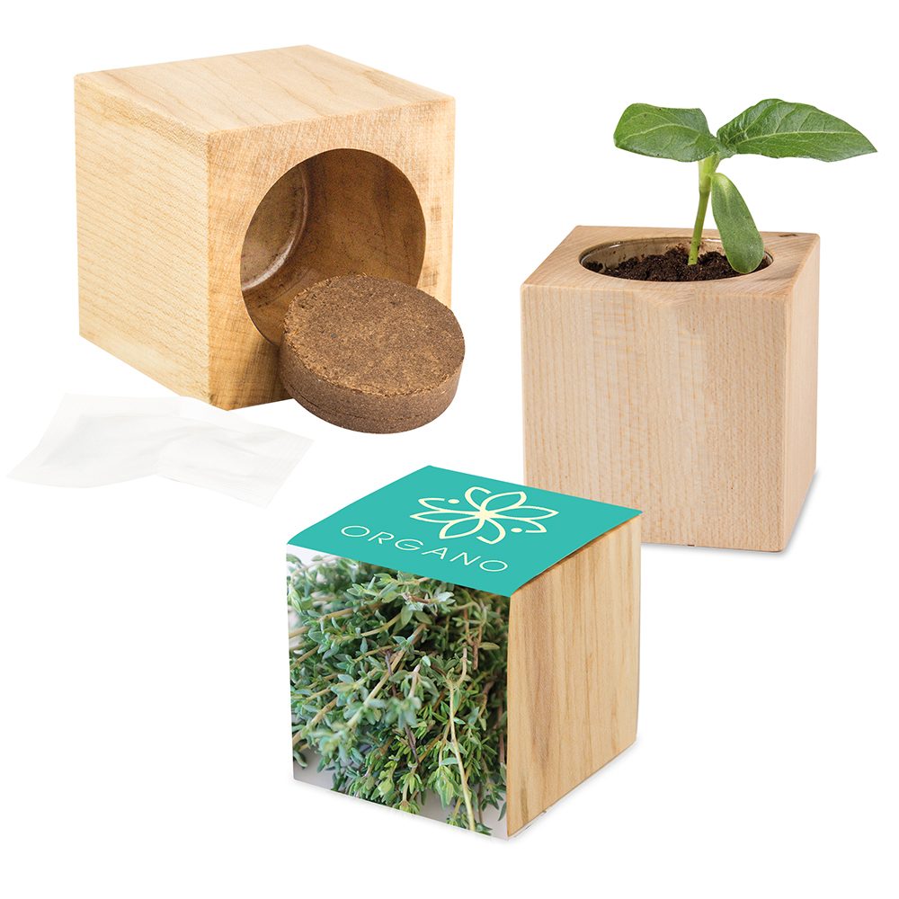 Pflanz-Holz Maxi mit Samen, Thymian, 2 Seiten gelasert