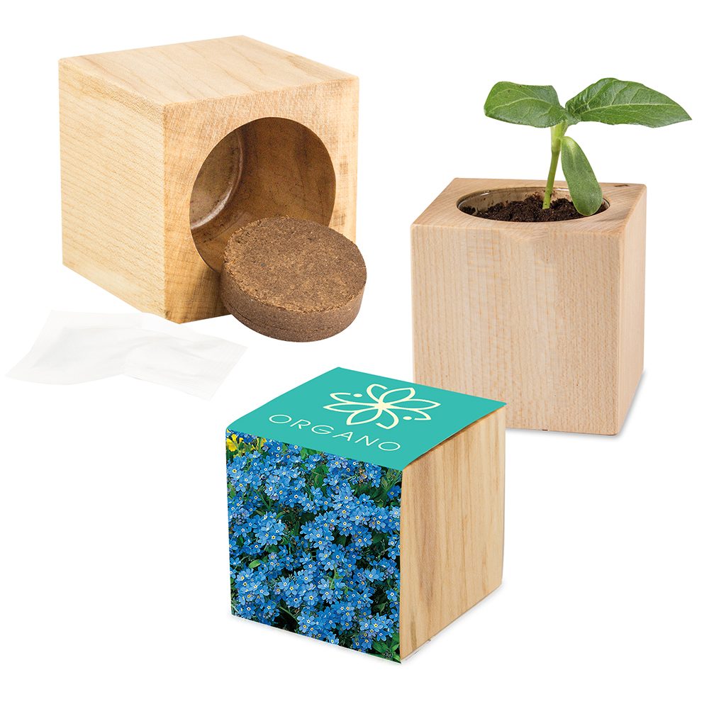 Pflanz-Holz Maxi mit Samen, Vergissmeinnicht, 2 Seiten gelasert
