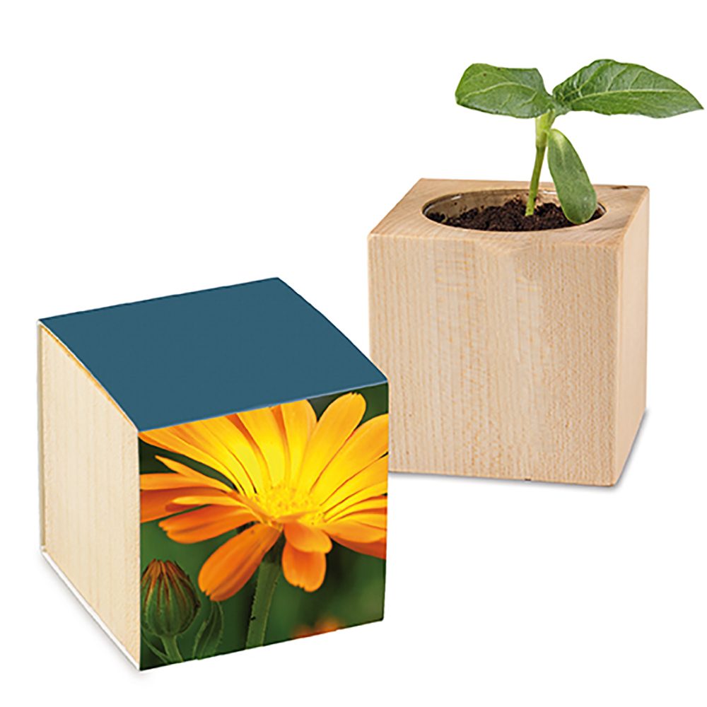 Pflanz-Holz mit Samen, Ringelblume, 1 Seite gelasert