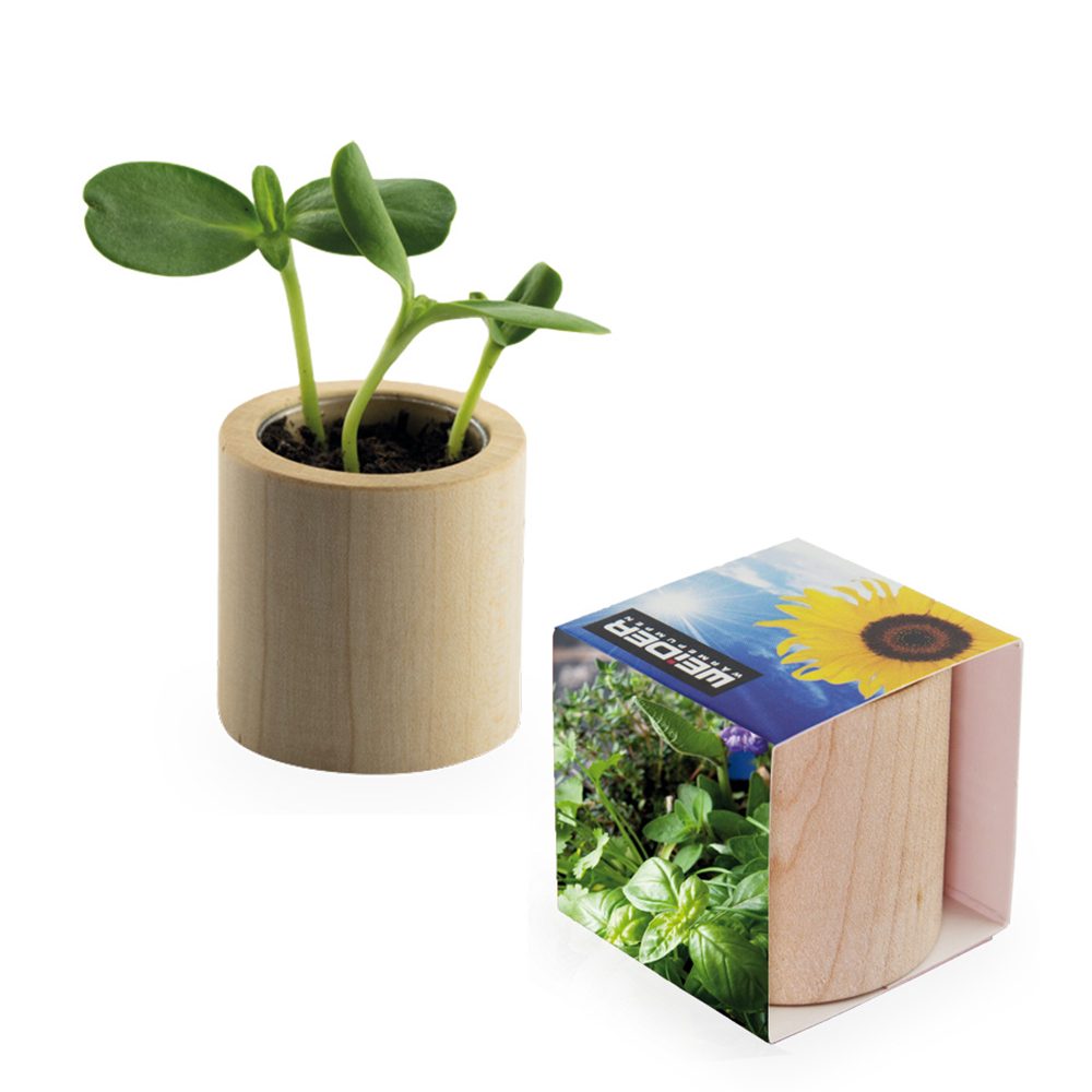 Pflanz-Holz rund mit Samen, Kräutermischung, Rundum-Lasergravur