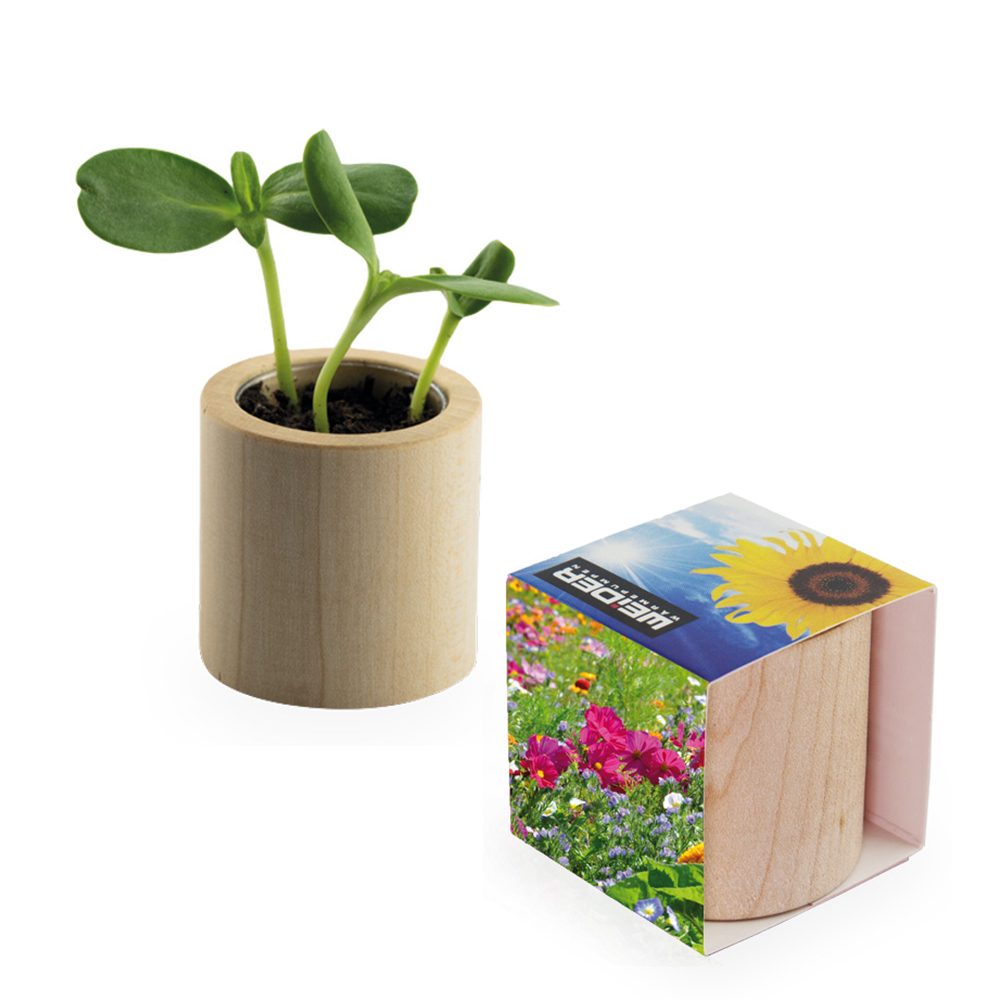 Pflanz-Holz rund mit Samen, Sommerblumenmischung, Lasergravur