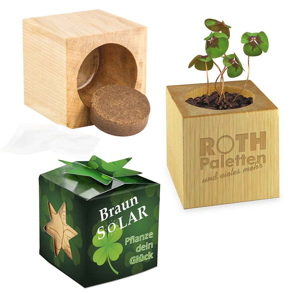 Pflanz-Holz Star-Box mit Samen, Glücksklee-Zwiebel, 1 Seite gelasert (* Je nach Verfügbarkeit der Glücksklee-Zwiebeln)
