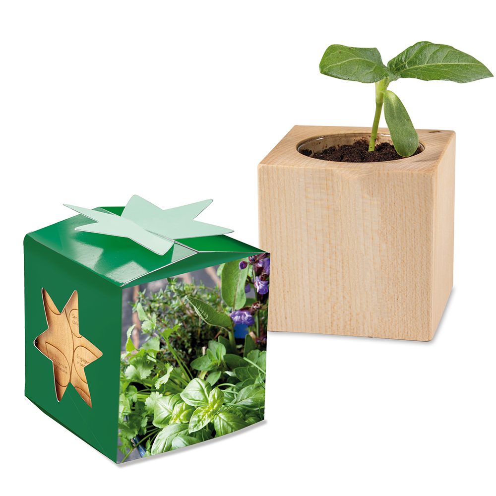 Pflanz-Holz Star-Box mit Samen, Kräutermischung, 2 Seiten gelasert