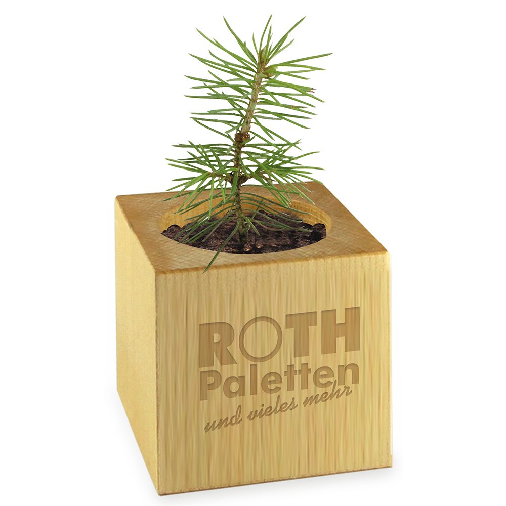 Pflanz-Holz - Standardmotiv - Frohe Weihnachten, 2 Seiten gelasert