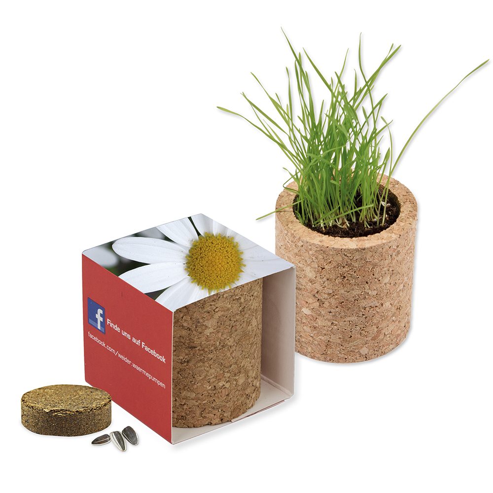 Pflanz-Kork rund mit Samen, Margerite, Lasergravur