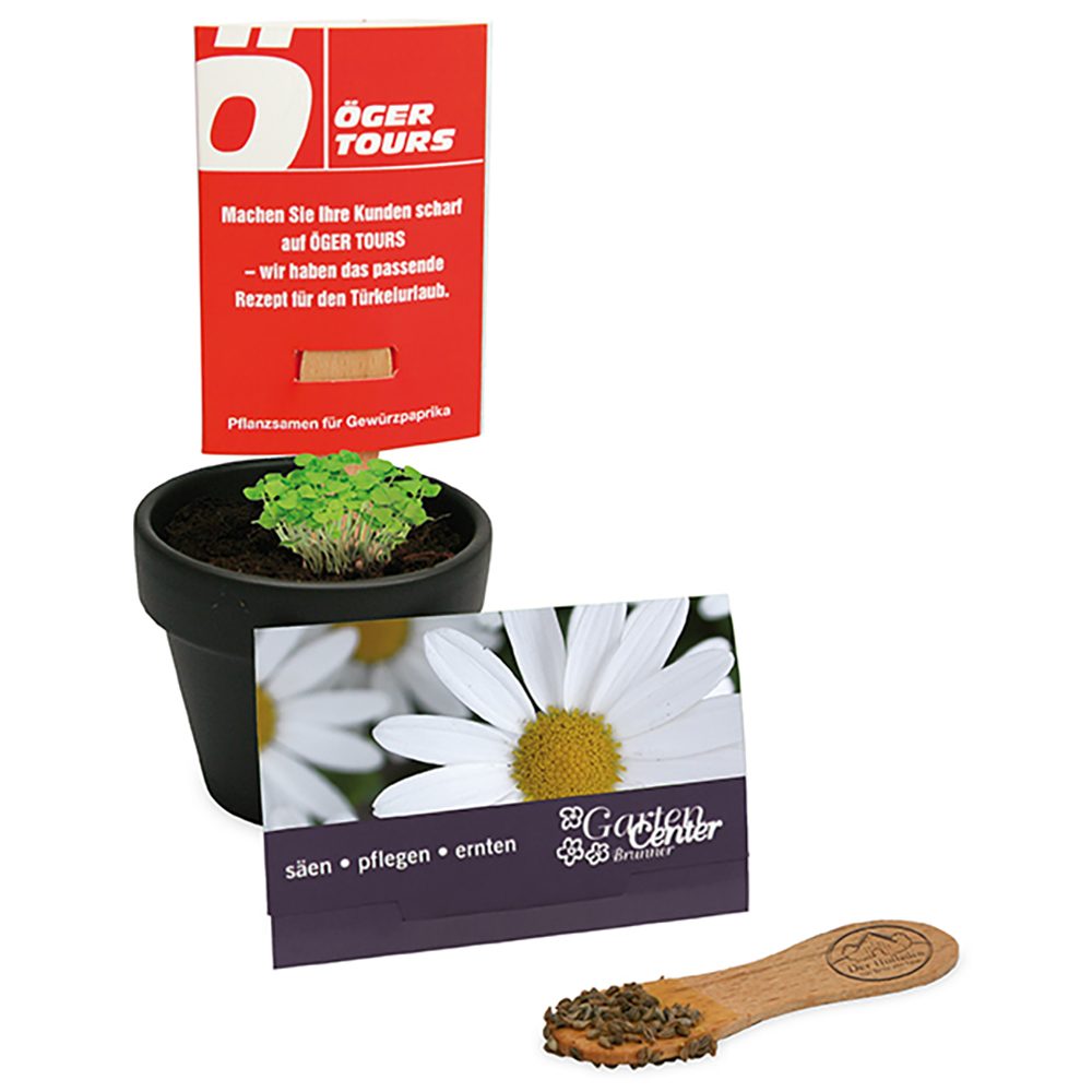 Pflanz-Stick mit Samen, Margerite, 1 Seite gelasert