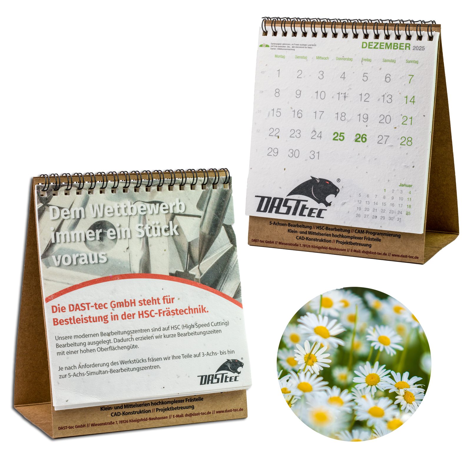 Samenpapier-Tischkalender, Gänseblümchen