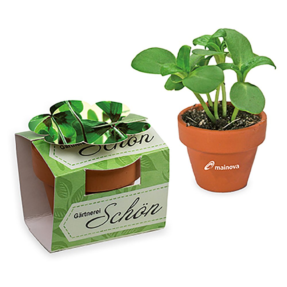 Tontöpfchen-Blume mit Samen, Glücksklee-Zwiebeln inkl. Tampondruck (* Je nach Verfügbarkeit der Glücksklee-Zwiebeln)