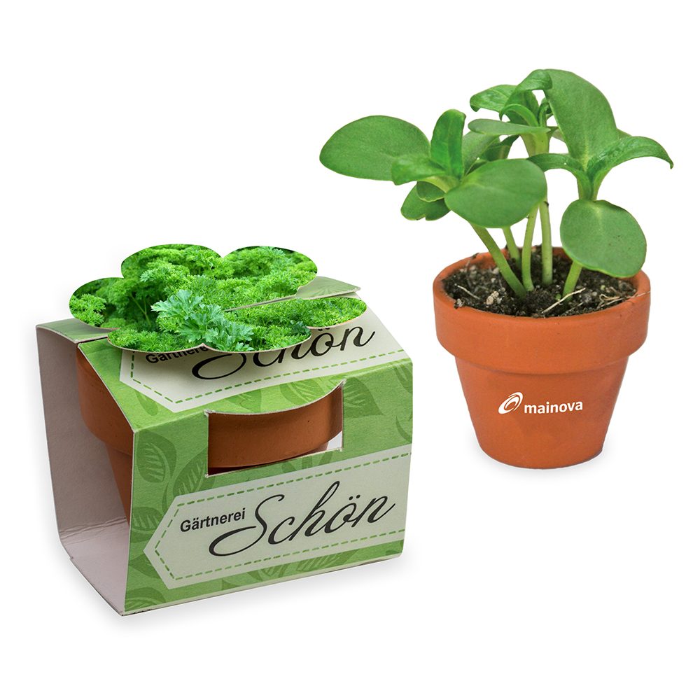 Tontöpfchen-Blume mit Samen, Petersilie inkl. Tampondruck