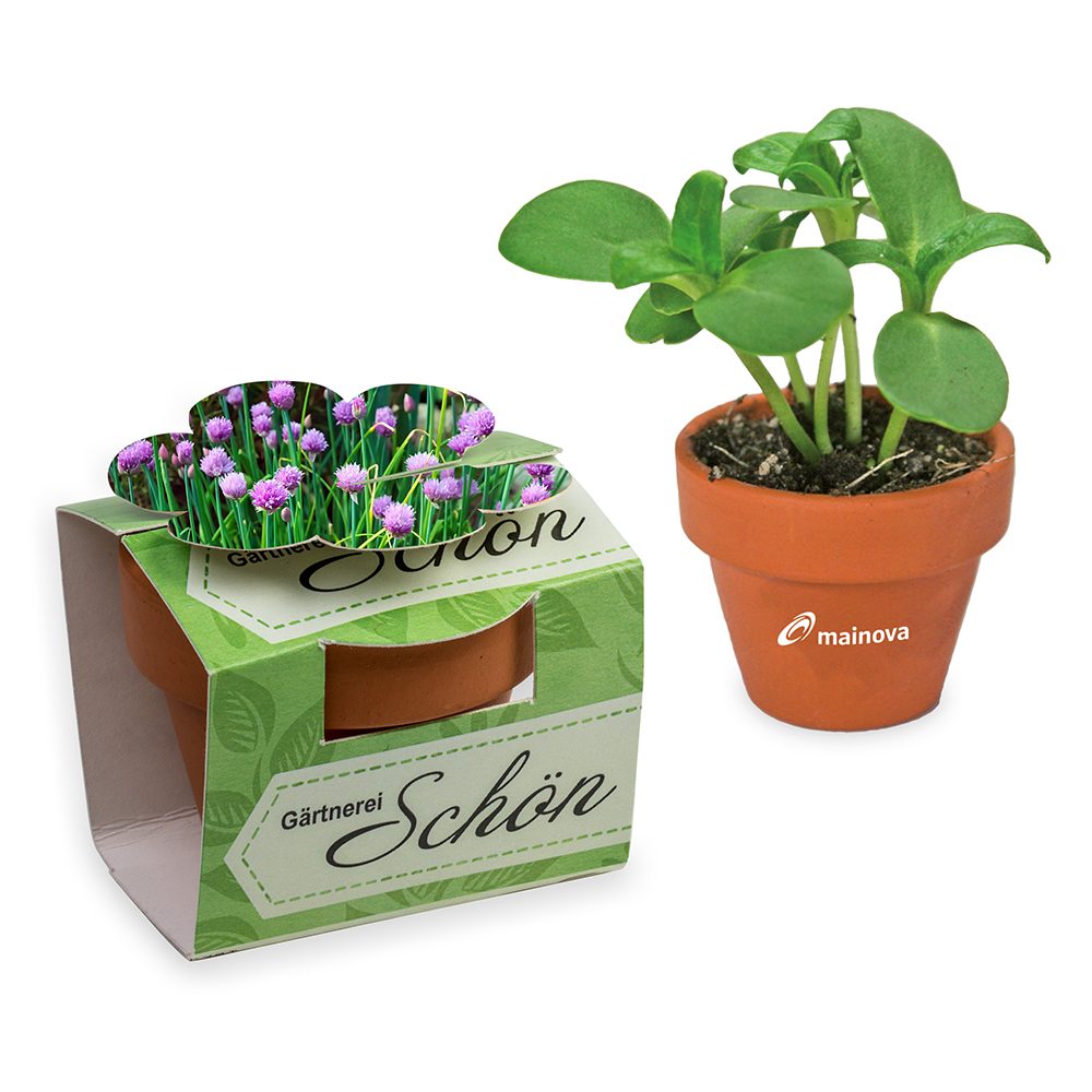 Tontöpfchen-Blume mit Samen, Schnittlauch inkl. Tampondruck