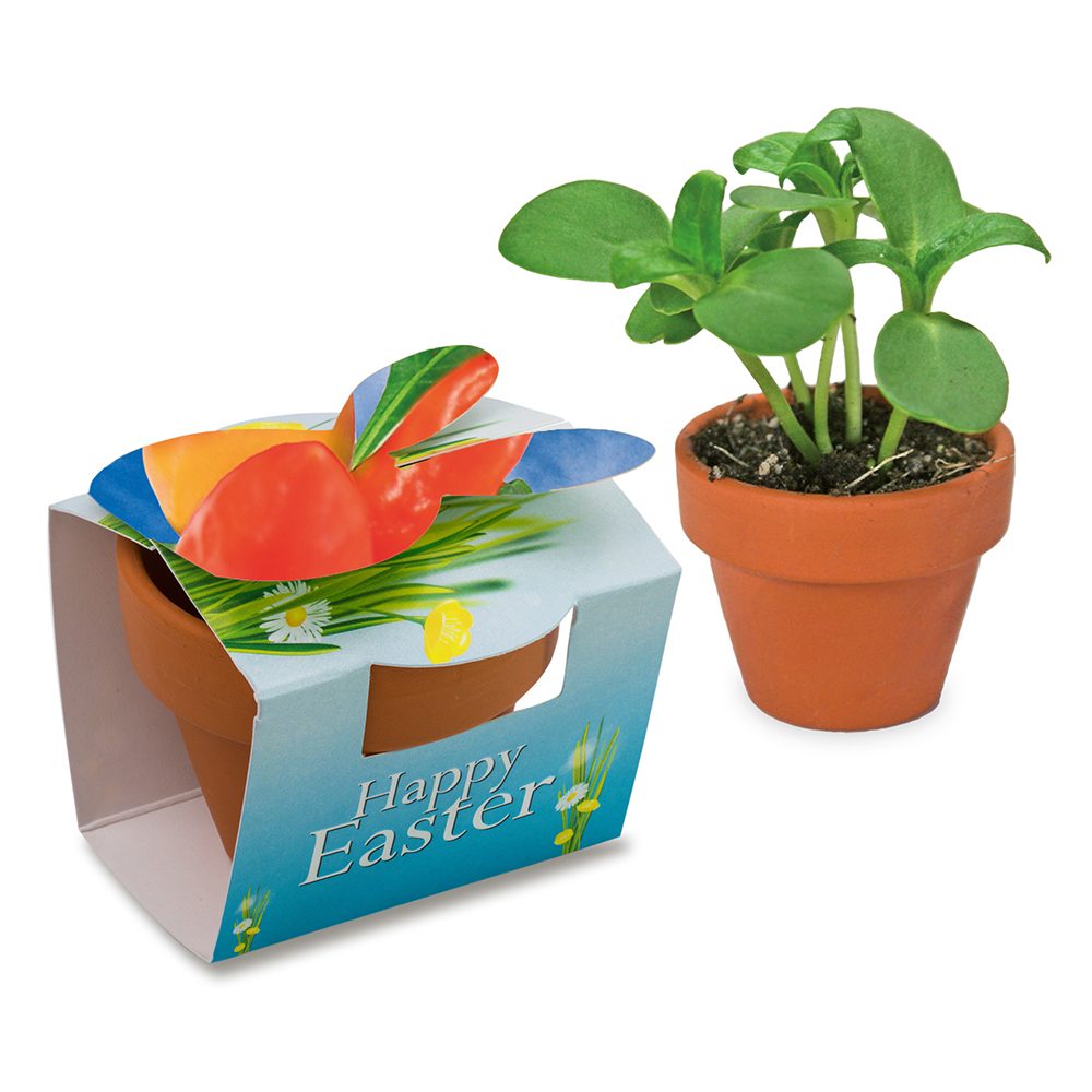 Tontöpfchen-Hase mit Samen, Gewürzpaprika