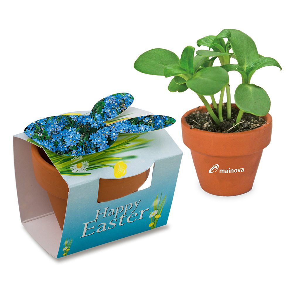 Tontöpfchen-Hase mit Samen, Vergissmeinnicht inkl. Tampondruck