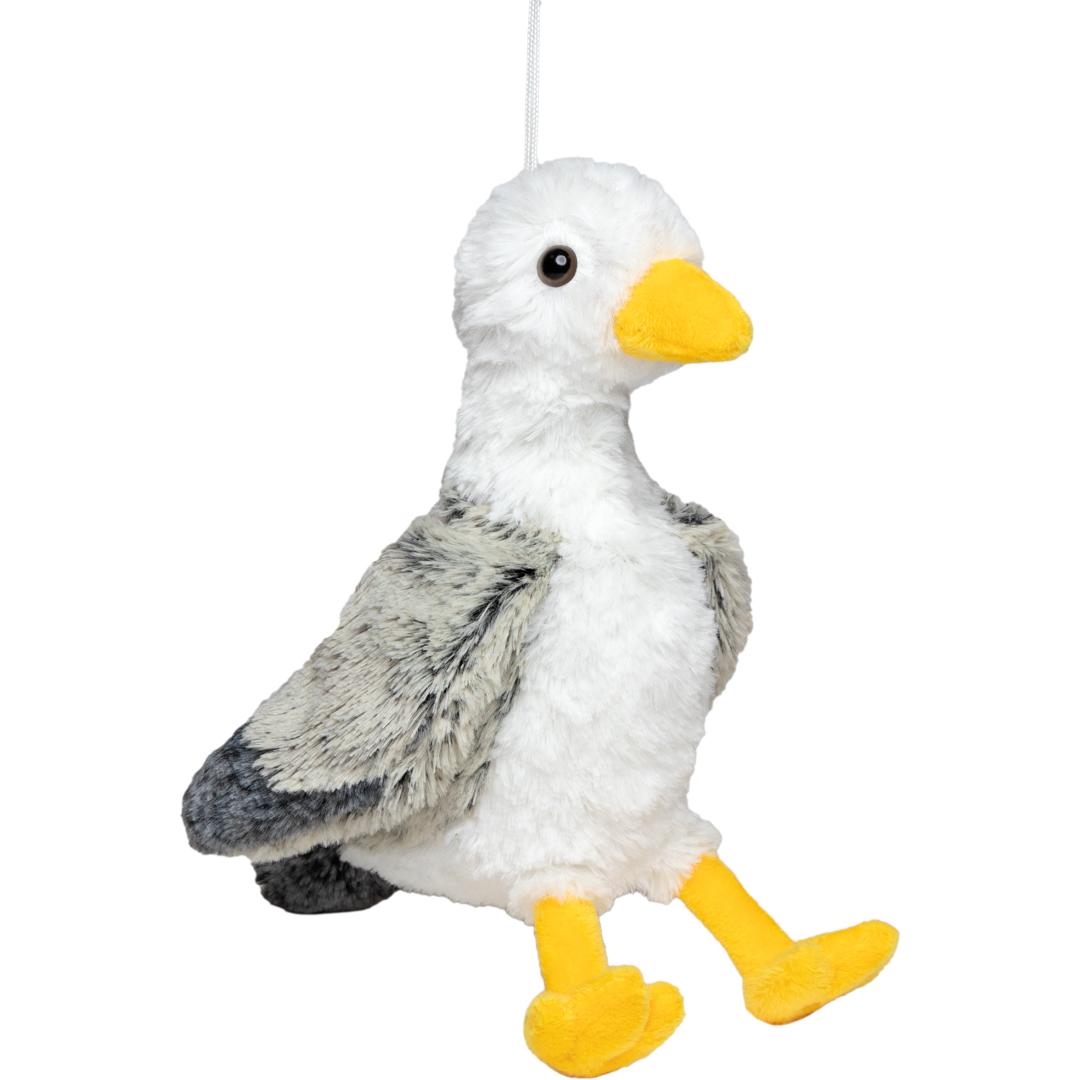 Möwe Jonathan