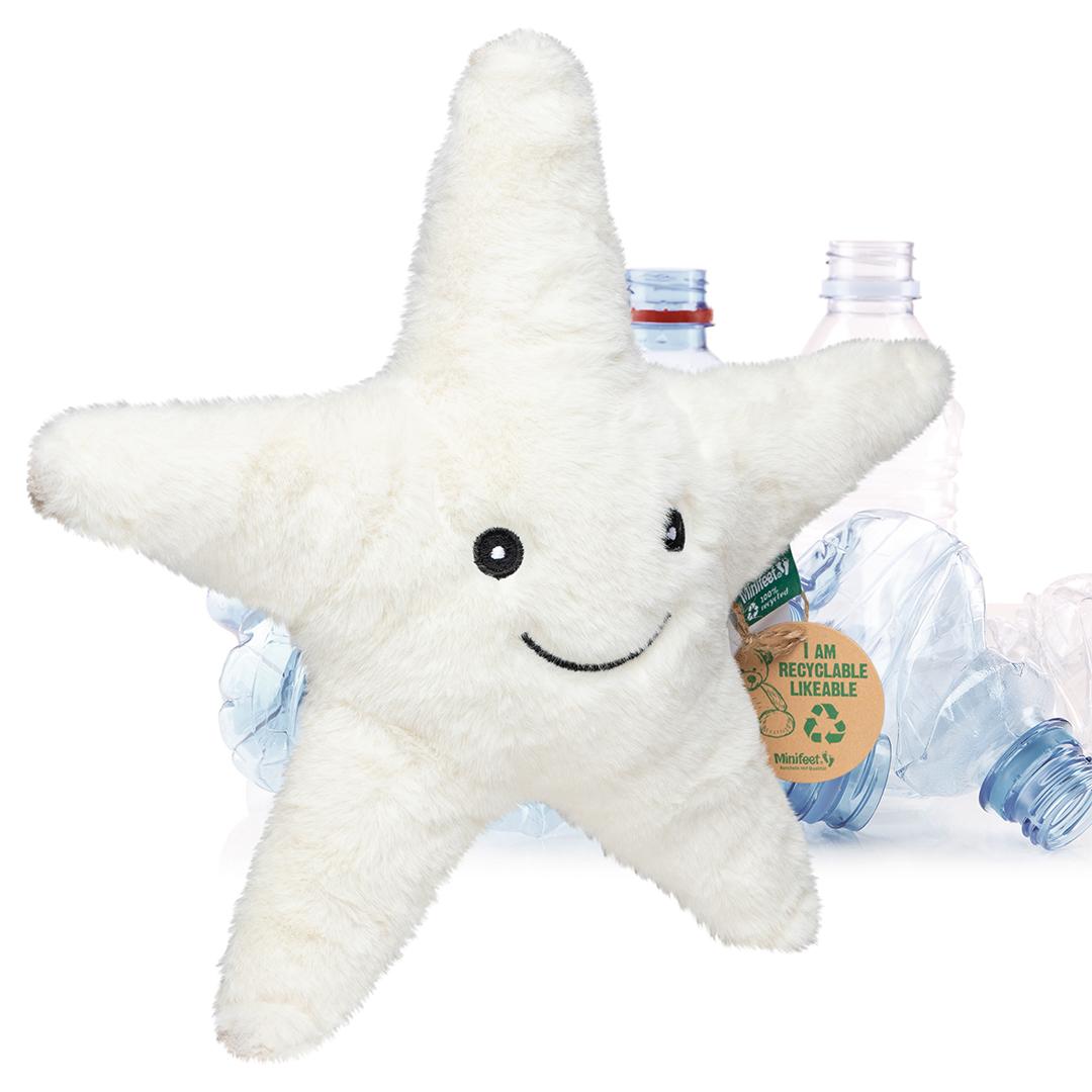 RecycelStern