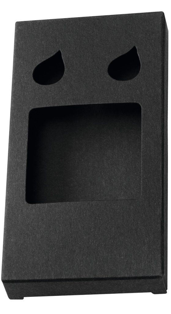 PAPPFALTSCHACHTEL VERPACKUNG Etui (2er-Set)